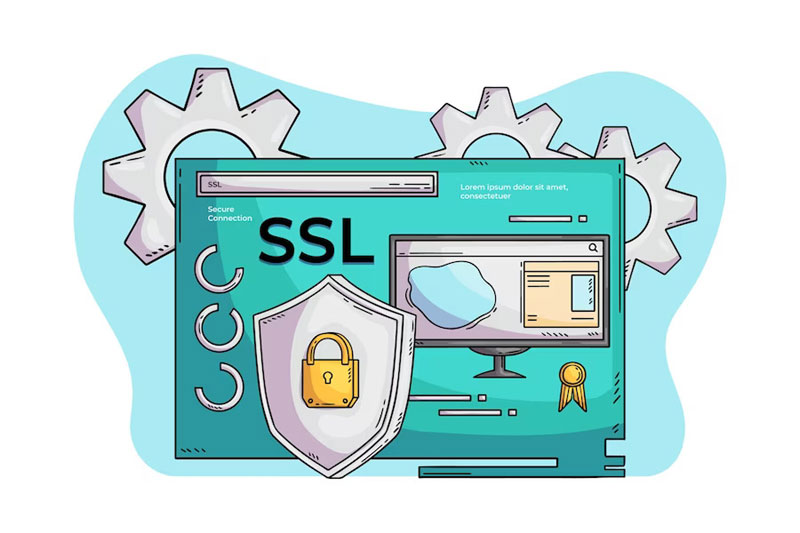 SSL and SEO